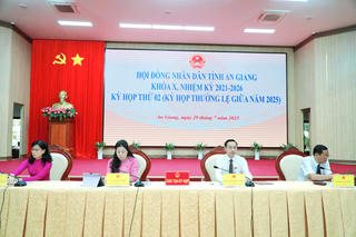6 tháng đầu năm, An Giang thu ngân sách nhà nước hơn 13.000 tỷ đồng