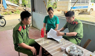 Nỗ lực kiểm soát dịch tả lợn Châu phi