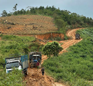 Gia Lai: Công an đang làm rõ tin báo khai thác gỗ rừng trồng trên địa bàn xã Uar  