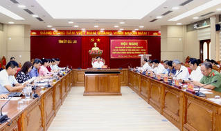 Vận hành chính quyền 2 cấp ở Gia Lai: Các xã, phường đã phát huy tính năng động, sáng tạo