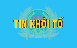 Khởi tố Giám đốc người nước ngoài trốn thuế hơn 3,2 tỷ đồng