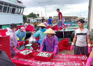 TP Huế triển khai đồng bộ các giải pháp chống khai thác IUU