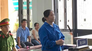 Lừa đảo hơn 2,6 tỷ đồng, nữ tiểu thương lĩnh án 13 năm tù