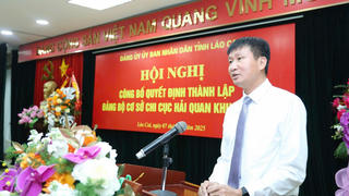 Thành lập Đảng bộ Chi cục Hải quan khu vực VII