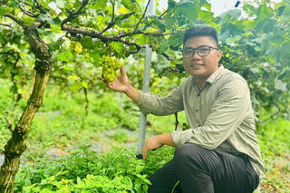 Chimi Farm - Điểm sáng mô hình nông nghiệp sinh thái gắn với du lịch trải nghiệm vùng ngoại ô