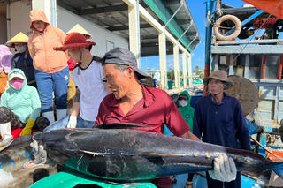 Sự chuyển biến tích cực từ các địa phương
