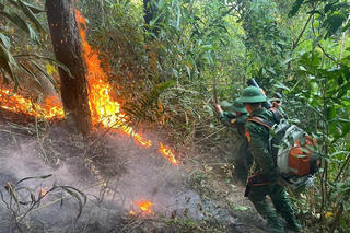 Cháy rừng phòng hộ tại Đèo Ngang, thiêu rụi khoảng 2.500m2