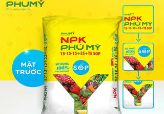 PVFCCo – Phú Mỹ đẩy mạnh xuất nhập khẩu phân bón, mở rộng thị trường và đa dạng hóa nguồn cung