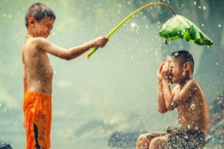 Về với quê hương - tìm lại bình yên nơi gốc rễ