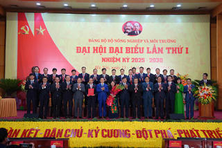 Đảng bộ Bộ Nông nghiệp và Môi trường: Trụ đỡ nền kinh tế đến "dẫn dắt kiến tạo phát triển bền vững"