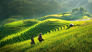 Nâng tầm VITA Green 