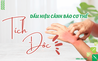 Thuốc tiêu độc Abipha: Bí quyết thanh nhiệt, giải độc, tiêu sưng từ thảo dược