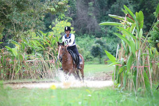 Ngựa đua tung vó trên trường đấu ở Lâm Đồng