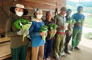 Quảng Ngãi đề nghị khoanh nợ cho hộ dân trồng sâm Ngọc Linh bị thiệt hại do bão số 3