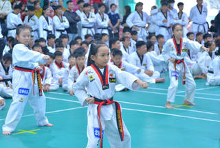 Gần 700 võ sinh Cà Mau tham gia Kỳ thi thăng đẳng Taekwondo