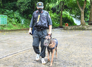 Ninh Bình: Mở rộng khu vực tìm kiếm nam du khách mất tích trong rừng Cúc Phương
