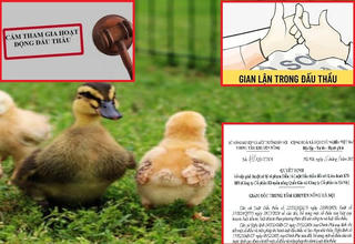 Hà Nội: Trung tâm Khuyến nông Hà Nội cấm 2 nhà thầu tham gia đấu thầu trong 4 năm