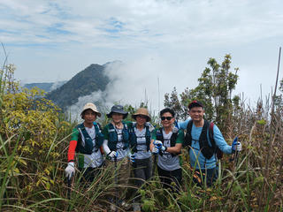 Cơ hội chạm tới vẻ đẹp hoang sơ đầy mê hoặc của Vườn quốc gia Tam Đảo