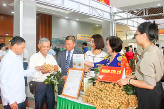 Hưng Yên tổ chức Hội nghị xúc tiến tiêu thụ nhãn và nông sản năm 2025
