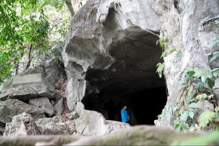 Khách du lịch tử vong khi đi một mình ở rừng Cúc Phương: Sở Du lịch Ninh Bình khuyến cáo