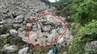 Ninh Bình: Phát hiện thi thể người phụ nữ mất tích khi bắt ốc trong rừng sau 3 ngày tìm kiếm