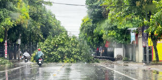 Phòng chống bão số 5, Nghệ An tạm thời cấm đường từ 11 giờ trưa 25/8