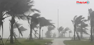 Tâm bão số 5 sẽ đi vào địa phận tỉnh Nghệ An