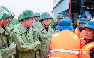 Nghệ An đã có mưa lớn kéo dài, lãnh đạo tỉnh trực tiếp kiểm tra các điểm sơ tán, tuyến đê biển xung yếu