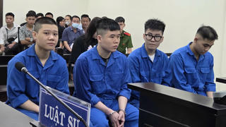 Từ gói hàng cấm trong chậu cây cảnh, 5 người phải trả giá