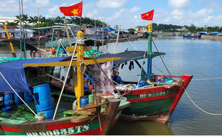 Bão tan, Hải Phòng dỡ bỏ lệnh cấm một số hoạt động trên biển và khu vực cửa sông từ 10 giờ ngày 26/8