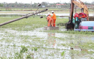 Đã khôi phục điện cho 70% khách hàng bị ảnh hưởng bởi bão số 5