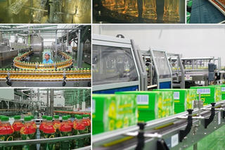 2 đột phá quan trọng của Trà Xanh Không Độ khiến hàng triệu người tiêu dùng yêu thích