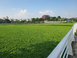 Hà Nội: Vận hành dự án bổ cập nước vào Hồ Tây 