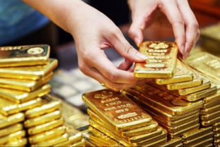 Giá vàng hôm nay (1/9): Vàng trong nước và thế giới đều neo cao trên đỉnh lịch sử