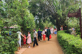 Khắc phục nhanh hậu quả do bão, Khu di tích Kim Liên sẵn sàng đón khách 

 