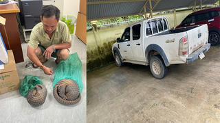 Tạm giữ đối tượng vận chuyển cá thể tê tê đi bán kiếm lời