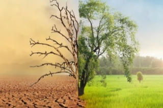 Đón nhận vô thường để sống hạnh phúc