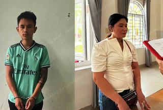 Bắt tạm giam hai đối tượng tiêu thụ sâm Ngọc Linh trộm cắp