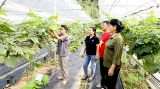 Tuyên Quang: Rà soát mức sống hộ nghèo, cận nghèo