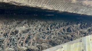 Khẩn trương làm rõ nguyên nhân, xử lý trách nhiệm vụ cháy bãi trông giữ xe dưới gầm cầu Vĩnh Tuy