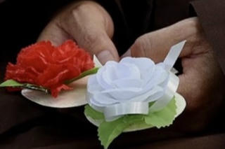 Bông hồng đỏ, bông hồng trắng