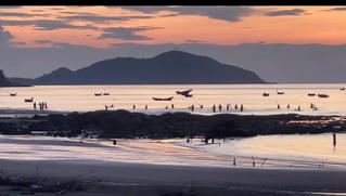 Ruốc về dày đặc, ngư dân Quảng Trị rủ nhau ra biển kéo "lộc" trong bình minh