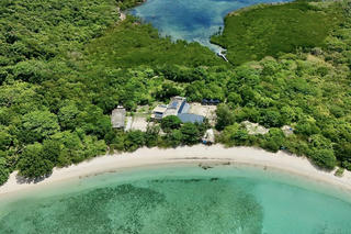 Gần 90.000 rùa con được thả về biển tại Hòn Bảy Cạnh