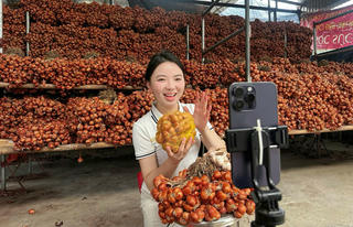 Gen Z Hải Phòng: Từ ruộng hành đến… TikTok Shop