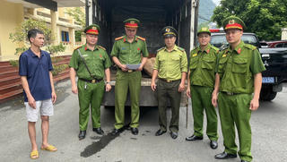 Tuyên Quang: Phát hiện xe tải chở 123kg lâm sản trái phép