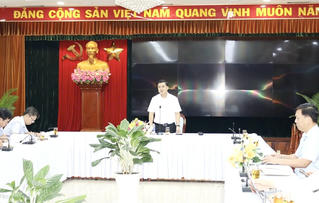 Đồng Nai chốt tiến độ bàn giao đất cao su phục vụ hạ tầng