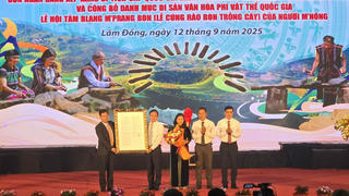 Công bố đàn đá Đắk Sơn là bảo vật quốc gia