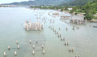 Cần sớm có phương án xử lý các cọc bê tông tại đầm Lập An (TP Huế)  