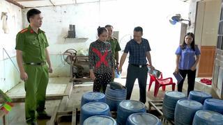 Ninh Bình: Khởi tố chủ cơ sở kinh doanh dùng hóa chất cấm sản xuất giá đỗ 