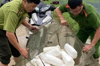 Ngăn chặn bẫy bắt chim di cư và động vật hoang dã